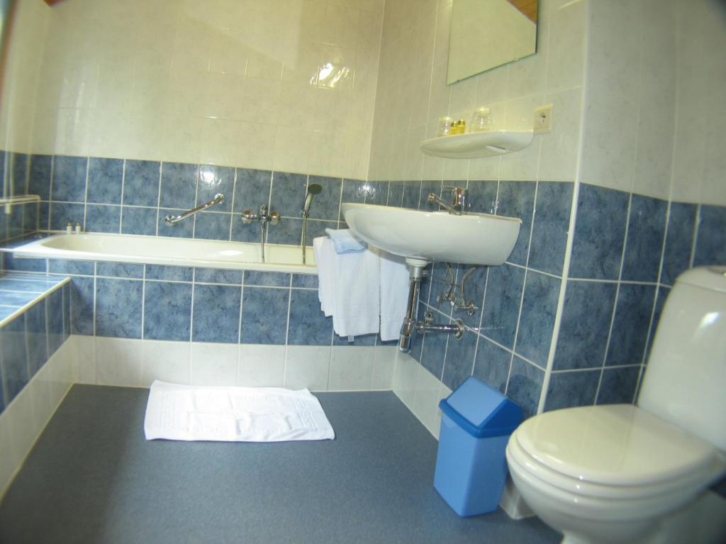 Hotel Aux Massotais Petites Tailles Rom bilde